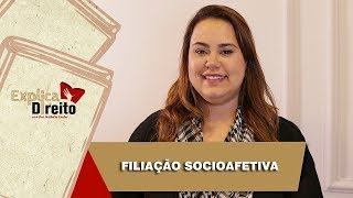 Explica Direito Filiação Socioafetiva  2019 [upl. by Ahsilram]