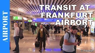 TRANSIT WALK AT FRANKFURT Airport FRA Terminal 1  Connection Flight Transfer Arriving amp Departing [upl. by Arrimat]